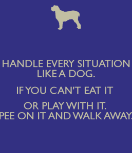 handle-every-situation-like-a-dog-if-you-can-t-eat-it-or-play-with-it-pee-on-it-and-walk-away